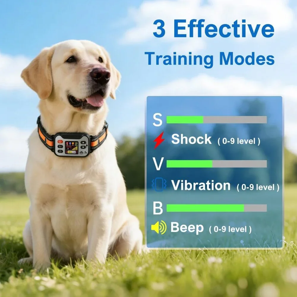 GPS Wireless Dog Fence System